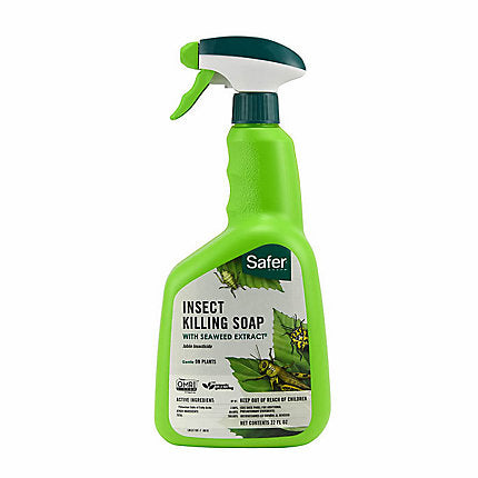 will insecticidal soap kill earwigs SAFER® BRAND INSECT KILLING SOAP WITH SEAWEED EXTRACT RTU - Bedford, VA