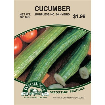 Wetsel Seed Cucumber - Burpless