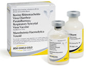Zoetis Bovi-Shield GOLD One Shot Cattle Vaccine 20 ML