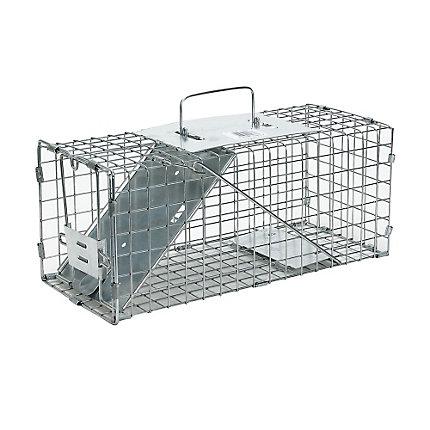 Havahart® Small 1-Door Trap